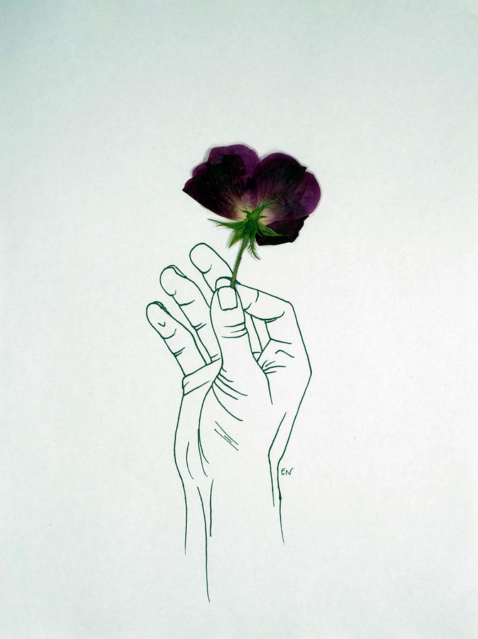 673x900 Rose Hand Drawing - Hand Drawing Rose