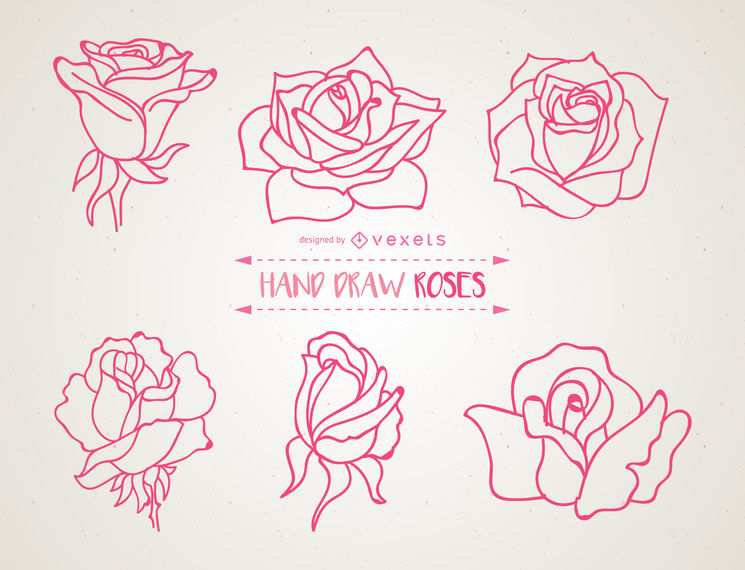 745x570 Set Of Hand Drawn Roses Illustrations - Hand Drawing Rose
