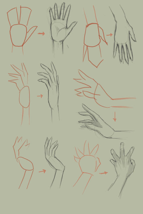 500x750 How To Draw Hand Video Tutorial - Hand Drawing Tutorial