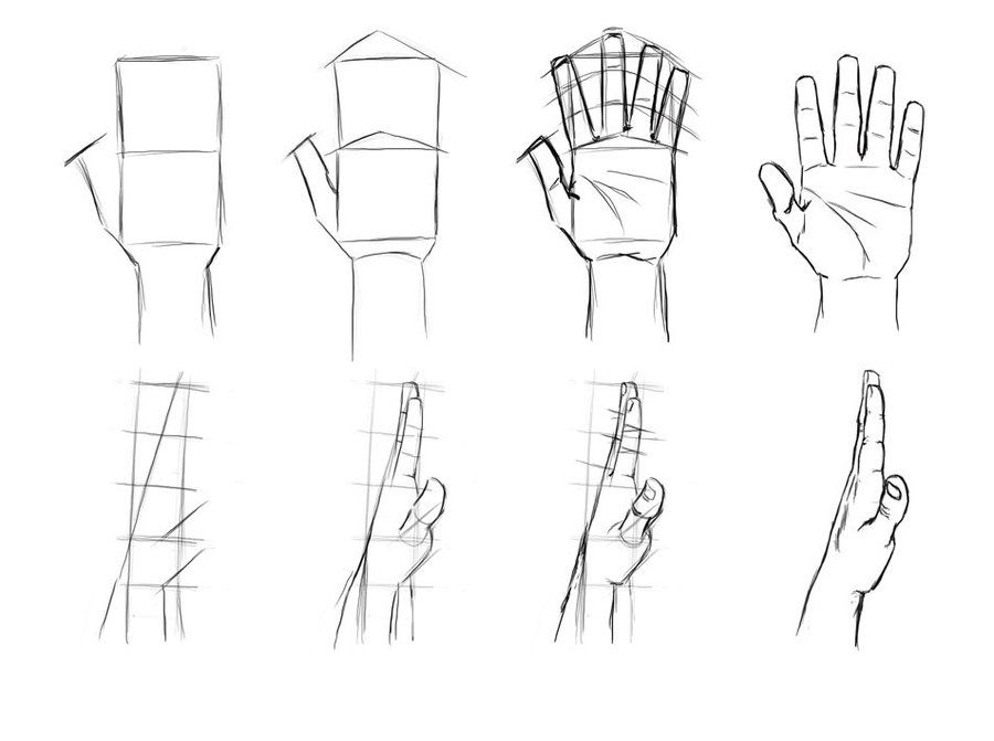 900x671 Referencia De Dibujo Manos - Hand Drawing Tutorial