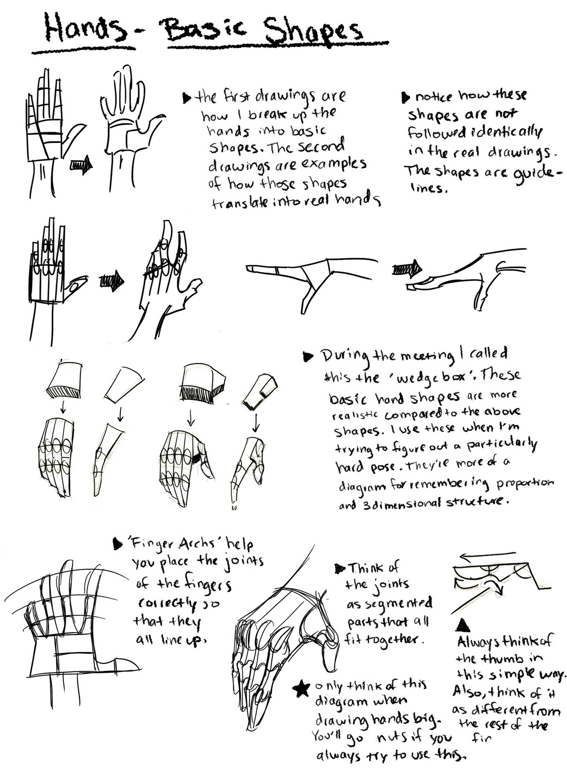 1164x1600 the animation student collective blog hand drawing tutorial notes - Hand Drawing Tutorial