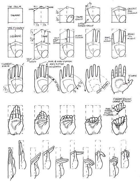 490x645 Drawing Art People Person Hands Draw Finger Hand Human Anatomy - Hand Drawing Tutorial