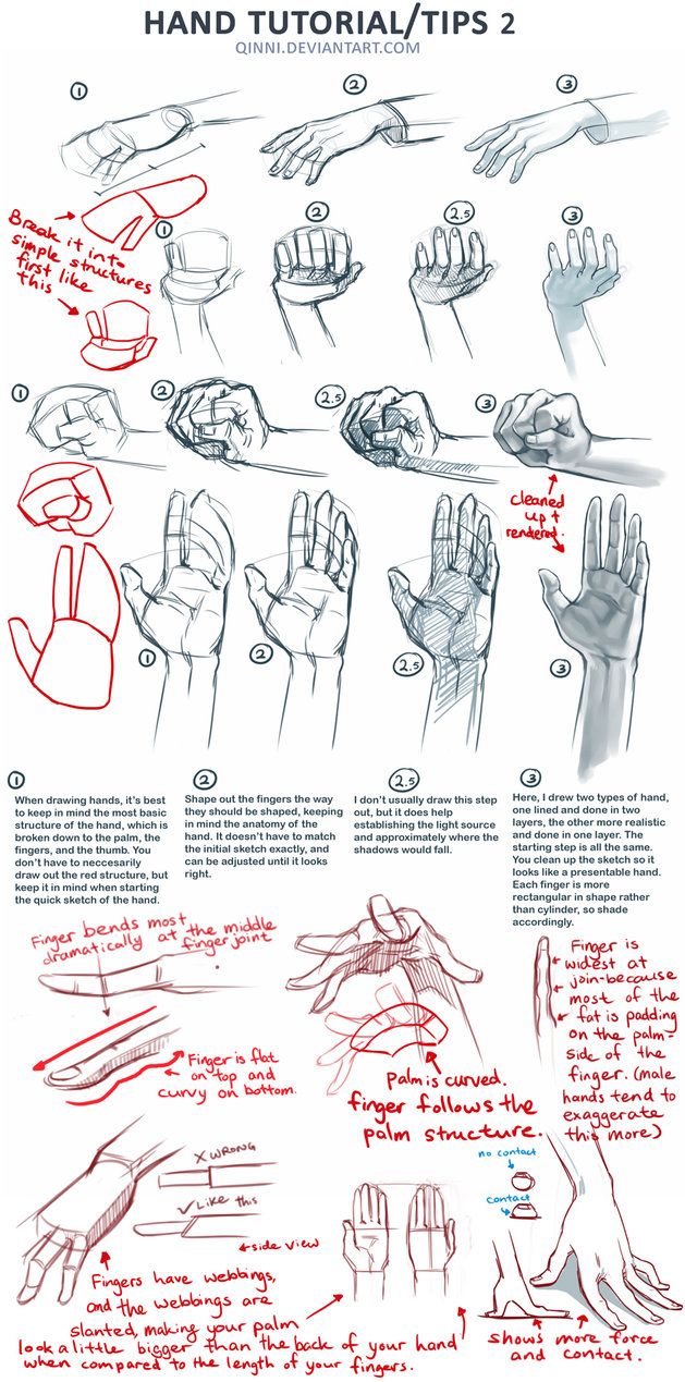 629x1269 Handsss In Drawing Drawings, How To Draw Hands, Hands - Hand Drawing Tutorial