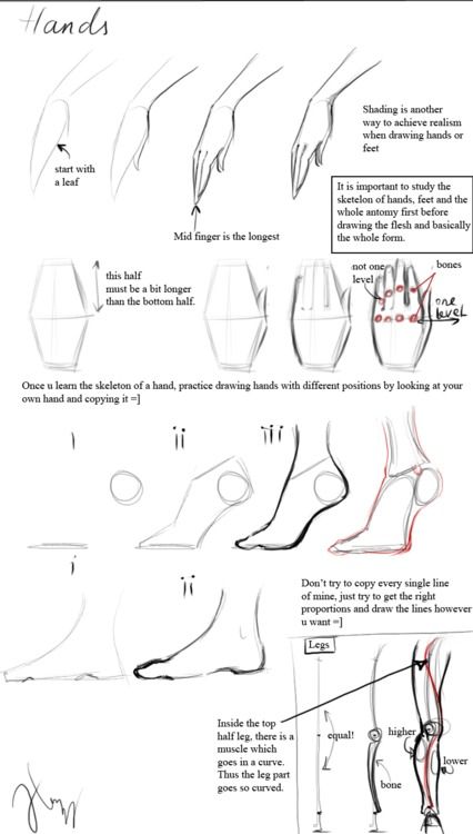 426x750 Hand And Foot Reference Body Propitiation Tutorial - Hand Drawing Tutorial