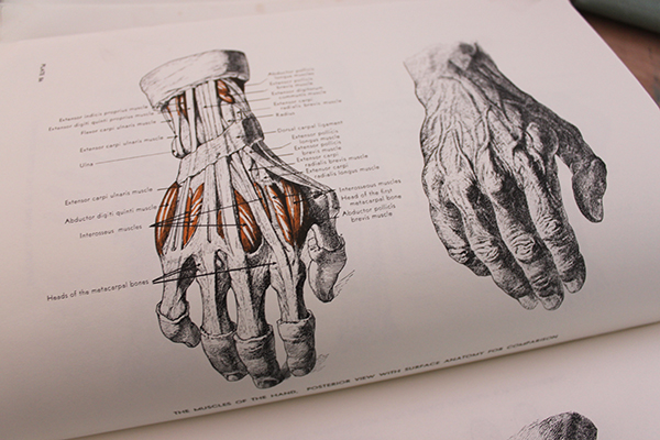 600x400 how to draw lifelike hands in steps craftsy blog - Hand Drawn Drawings