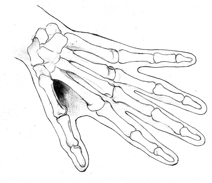 900x776 Hand Drawing Templates - Hand Drawn Drawings