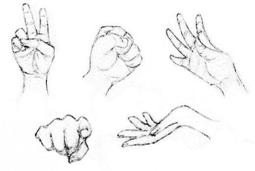 520x349 drawing the human figure the hands hubpages - Hand Figure Drawing