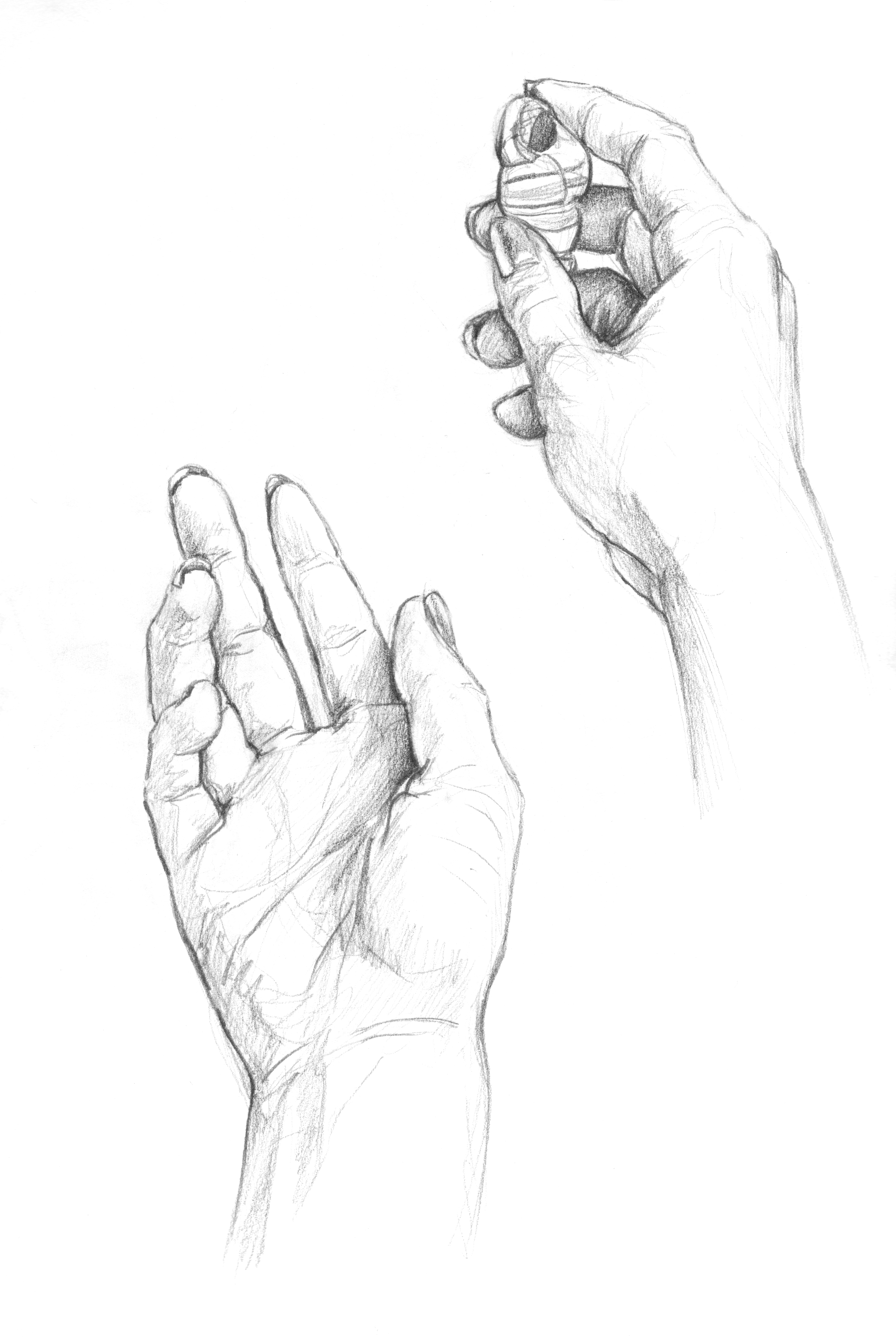 2319x3459 Drew Some Hands The Shaunart Blog - Hand Figure Drawing