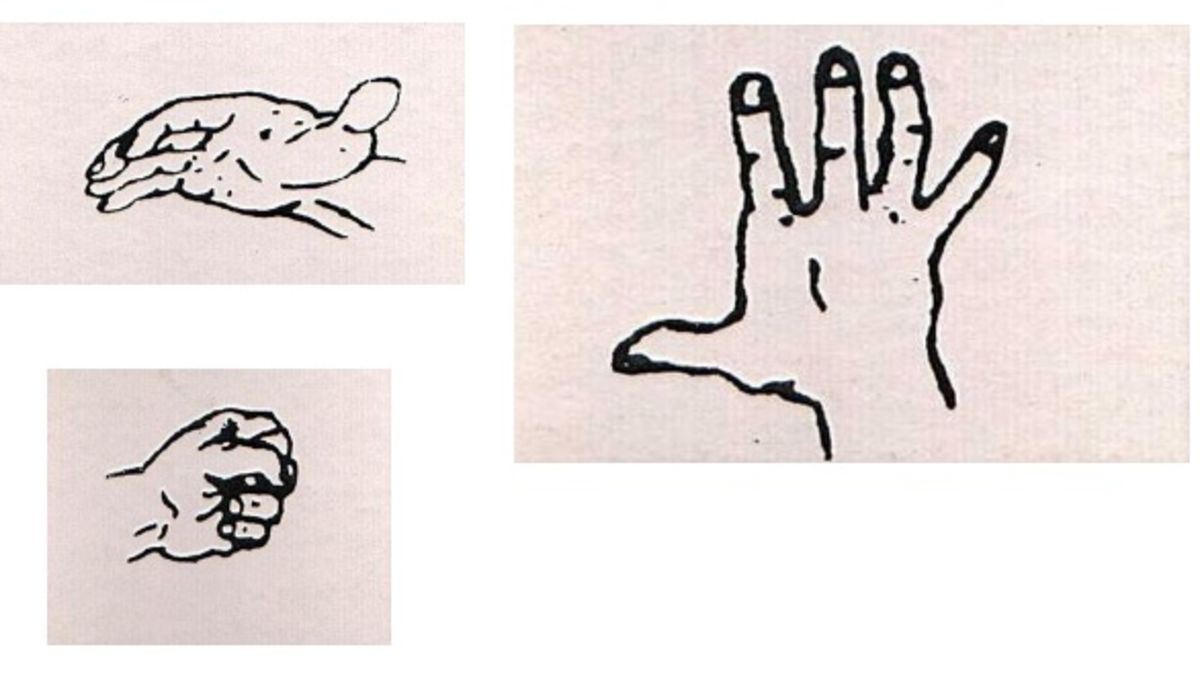 1200x675 The Personality Test That's All About Hand Gestures - Hand Gestures Drawing