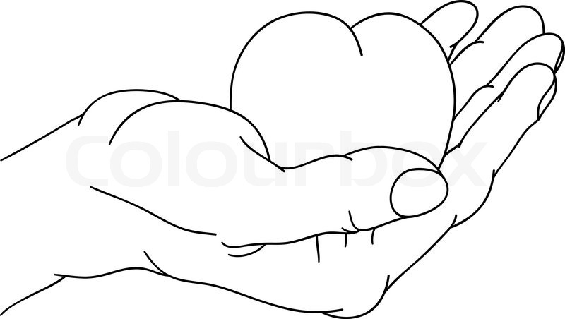 800x452 Vector - Hand Heart Drawing