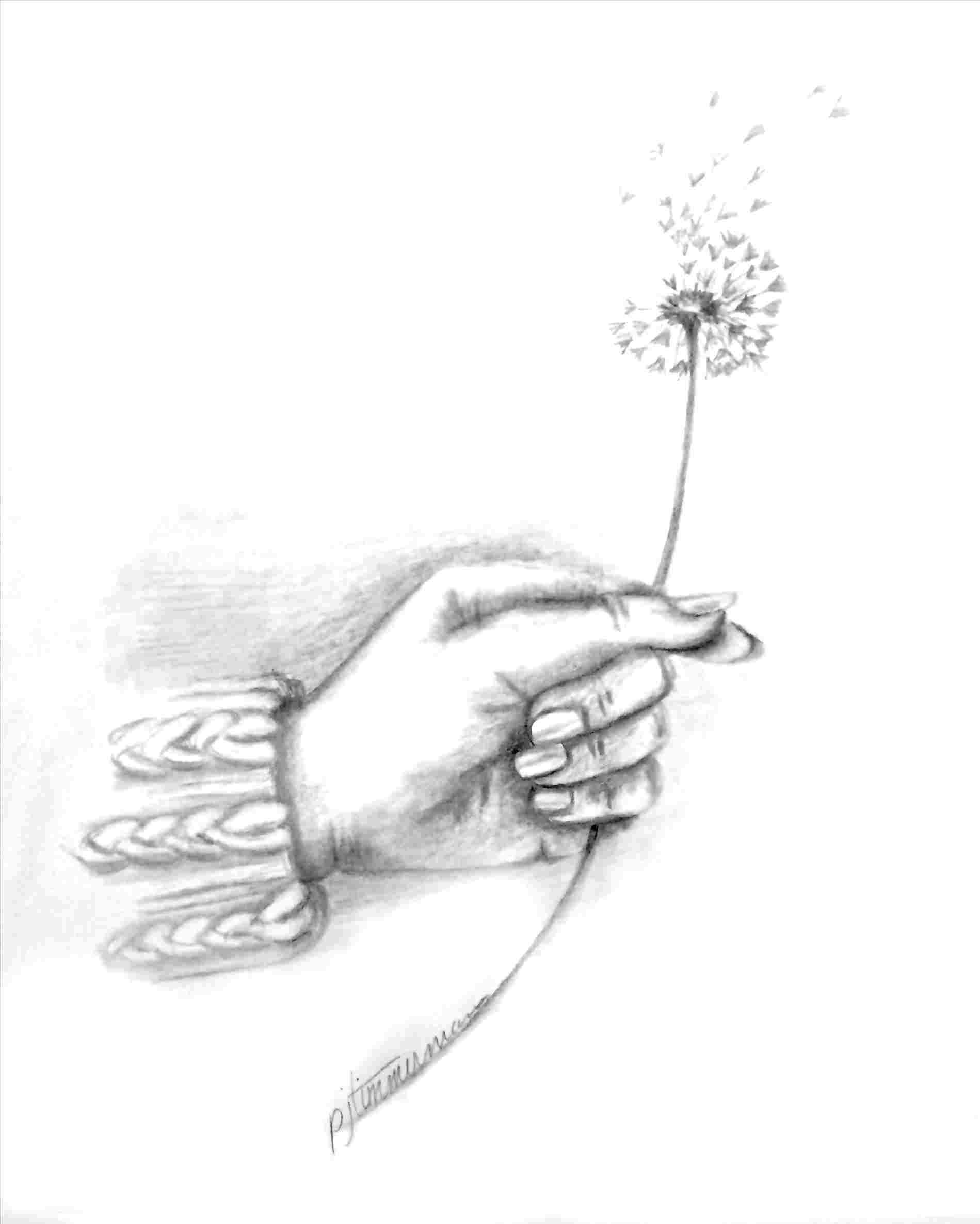 Hand Holding Rose Drawing : Hand Holding A Rose Drawing At Getdrawings ...
