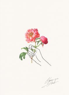 236x327 Holding Flowers Design Art, Illustration, Drawings - Hand Holding A Rose Drawing