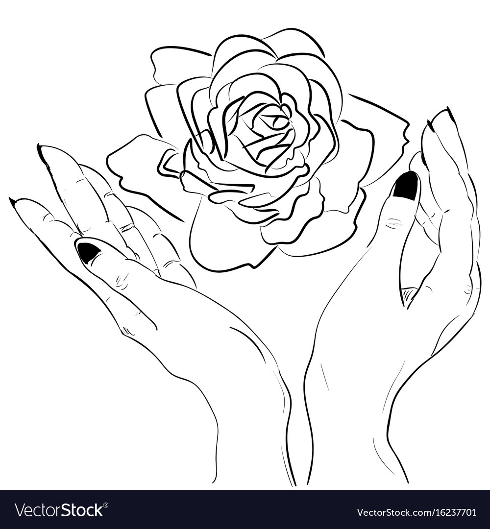 1000x1080 hand holding flower drawing and hands holding a rose flower - Hand Holding Flower Drawing