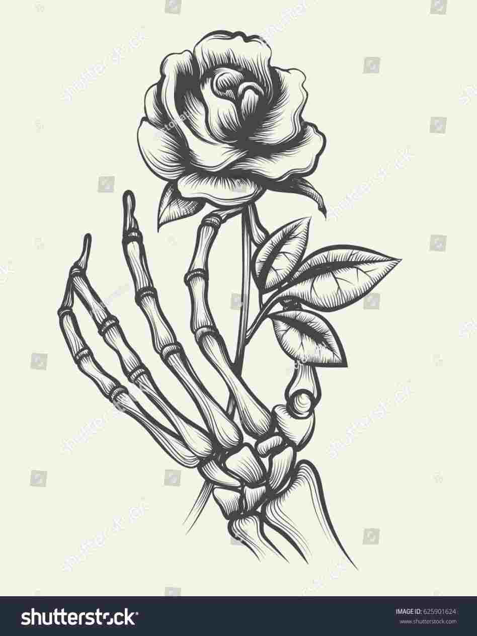 948x1264 handdrawn how to draw a skeleton hand holding a rose skeleton - Hand Holding Flower Drawing