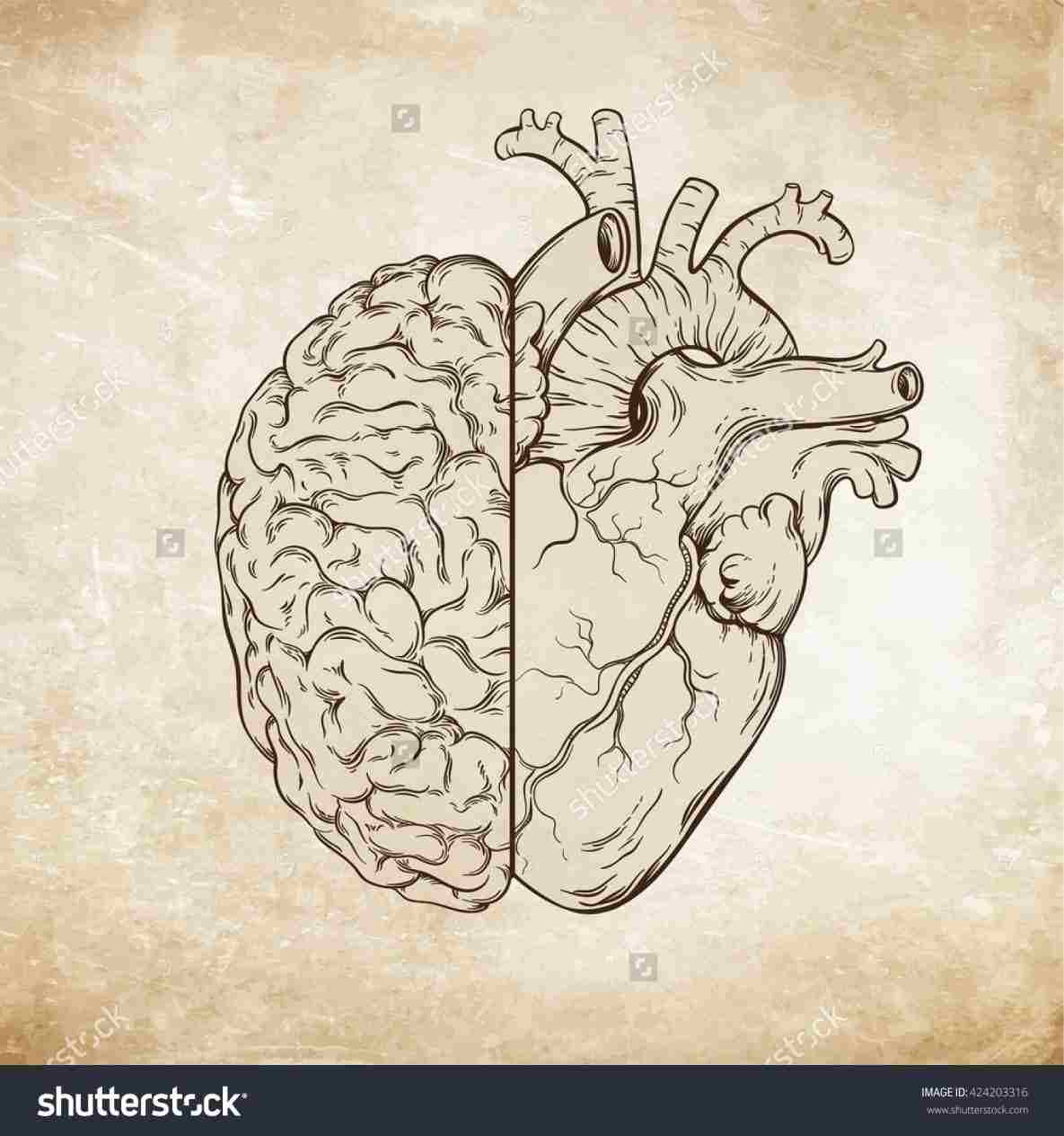 1185x1264 Drawn Illustration Two Stock Vector Rhshutterstockcom Realistic - Hand Holding Heart Drawing