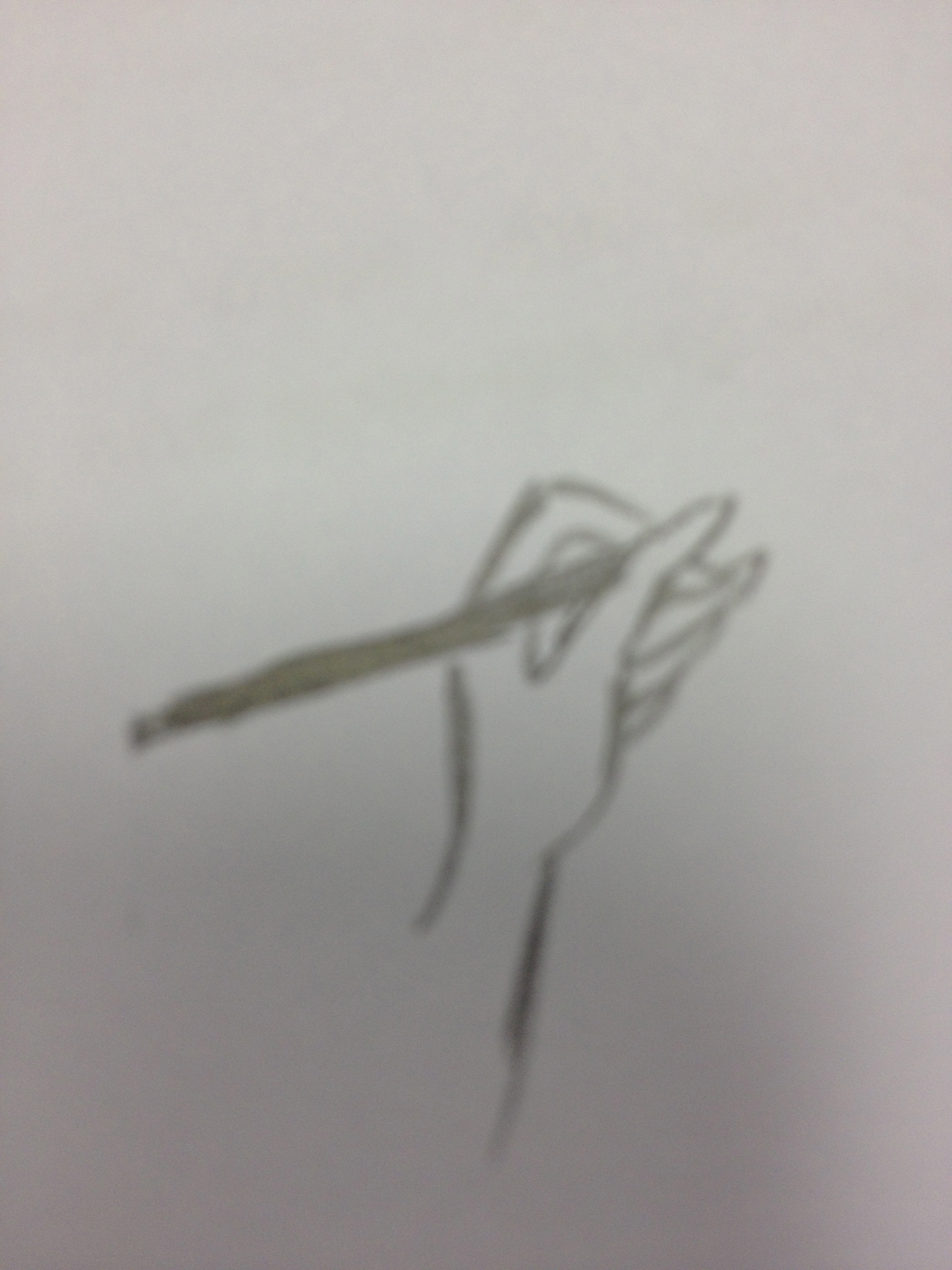 2448x3264 How To Draw A Left Hand Holding A Pencil Drawing Of Hand Holding - Hand Holding Pencil Drawing