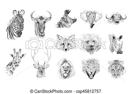 450x320 Portrait Of Animals Drawn - Hand In Hand Drawing