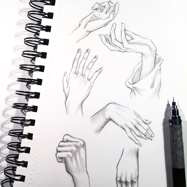 Hand Line Drawing