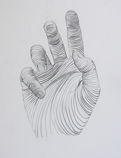 250x326 Contour Line - Hand Line Drawing