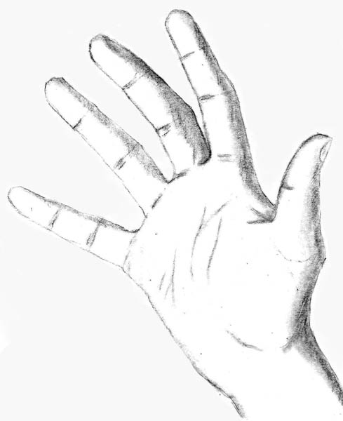 489x600 Drawing The Hands Let's Draw People - Hand Line Drawing