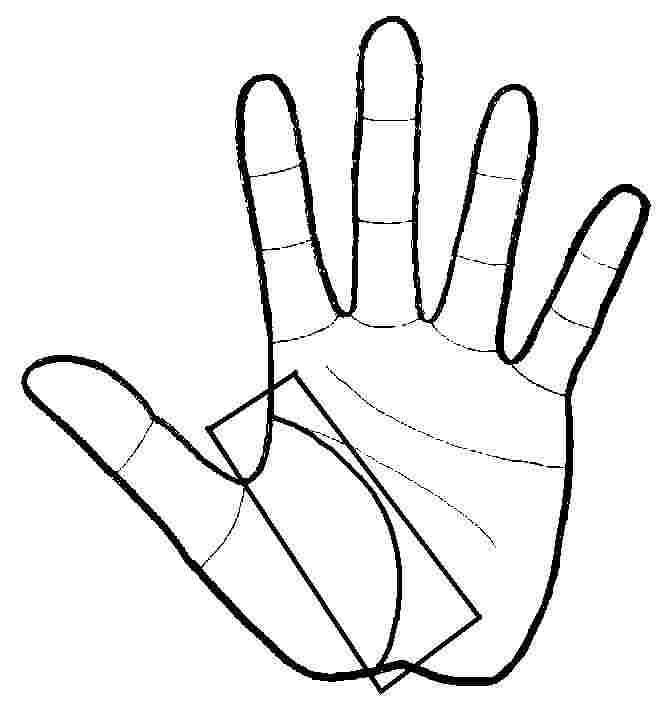 666x714 The Three Major Hand Lines - Hand Line Drawing