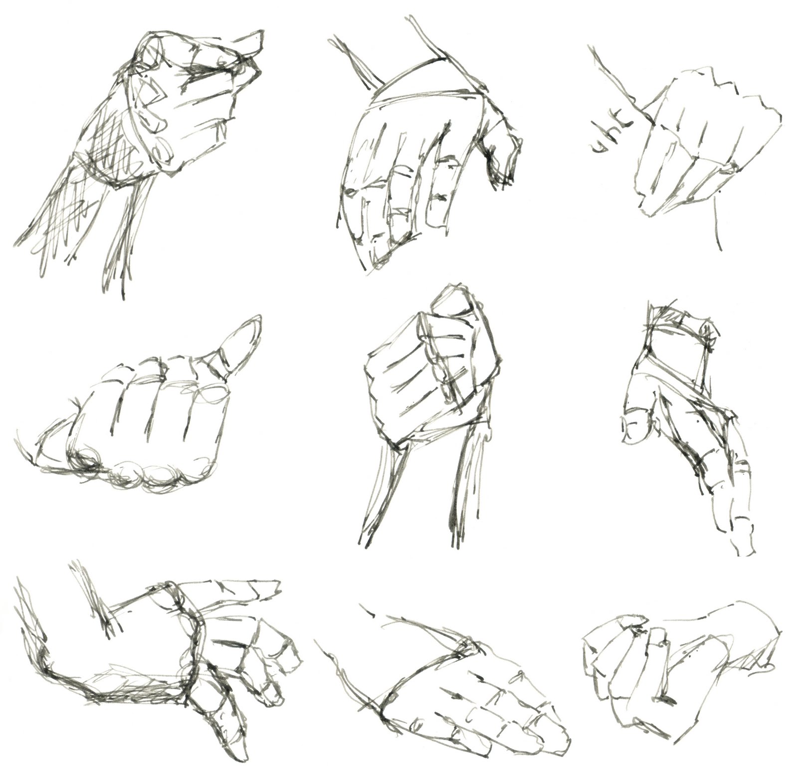 Hand Model For Drawing At Explore Collection Of