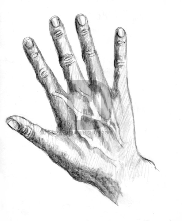 594x720 How To Draw Realistic Hands, Draw Hands, Step - Hand Outline Drawing