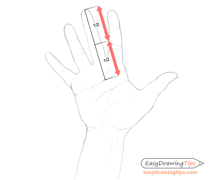 728x620 How To Draw A Hand Step - Hand Outline Drawing