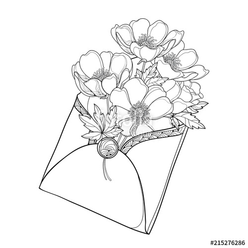 500x500 Vector Hand Drawing Bouquet Of Outline Anemone Flower, Bud - Hand Outline Drawing