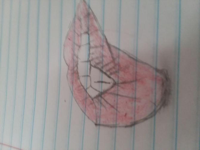 670x503 Ways To Draw Mouths - Hand Over Mouth Drawing