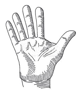 266x299 Hand Palm Stop Gesture Drawing Stock Vectors - Hand Palm Drawing