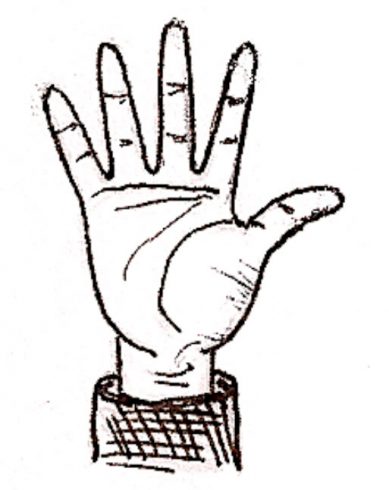 389x490 How To Draw A Hand Fazzino - Hand Palm Drawing