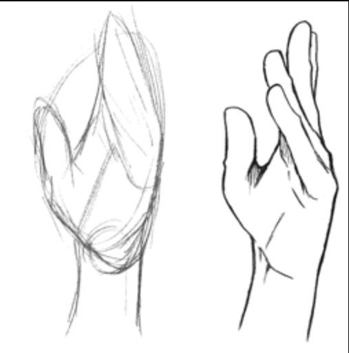 507x513 Left Hand Palm And Fingers Art - Hand Palm Drawing