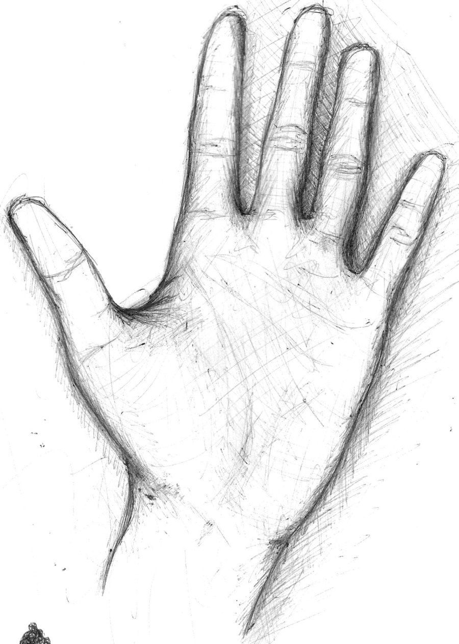 Hand Palm Drawing at Explore collection of Hand