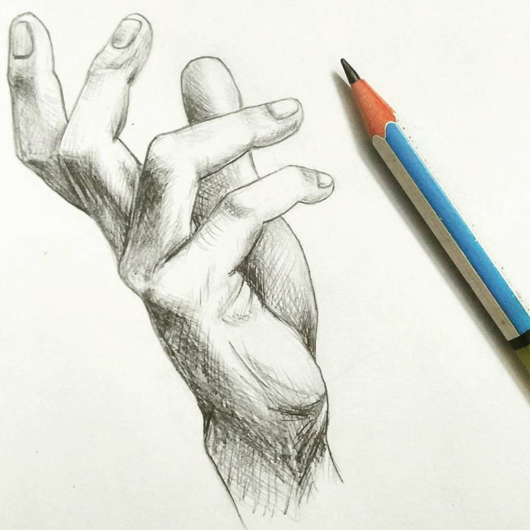 Hand Pencil Drawing