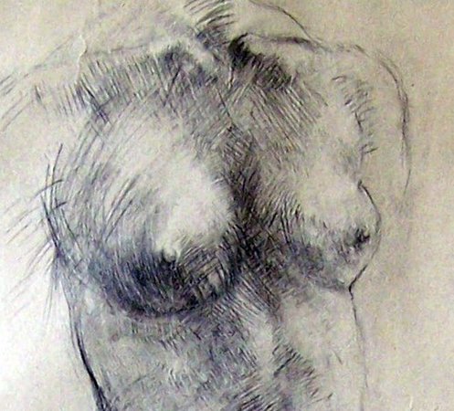 497x450 Free Hand Pencil Drawing - Hand Pencil Drawing