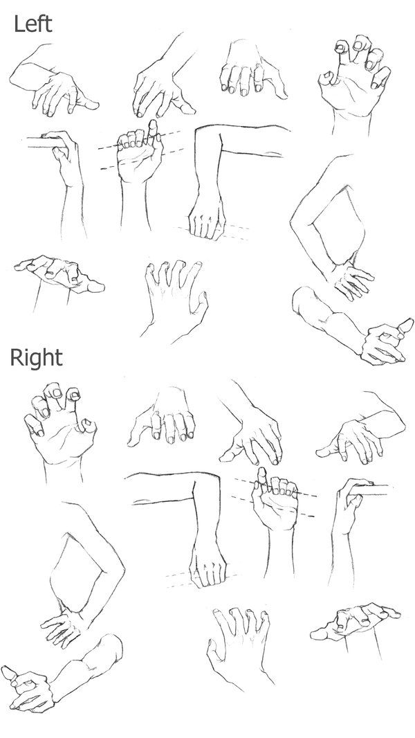 600x1066 Hands Pt Perspective - Hand Perspective Drawing