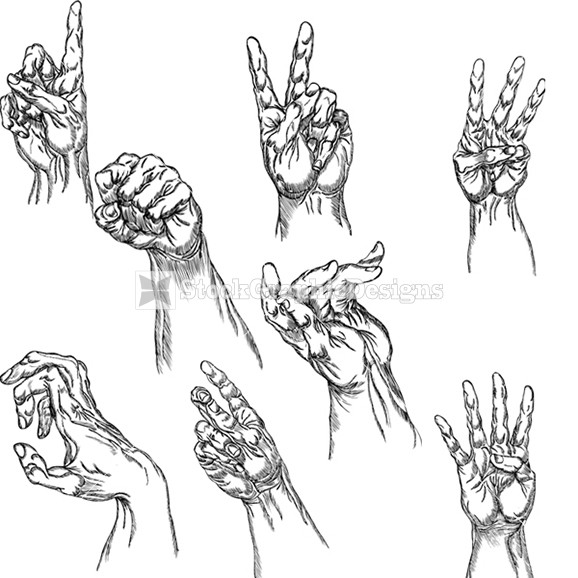 578x578 Hand Illustration Images Matt Wyles Design - Hand Positions Drawing