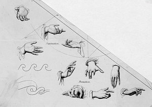 300x211 Hand Position Drawings Fine Art America - Hand Positions Drawing