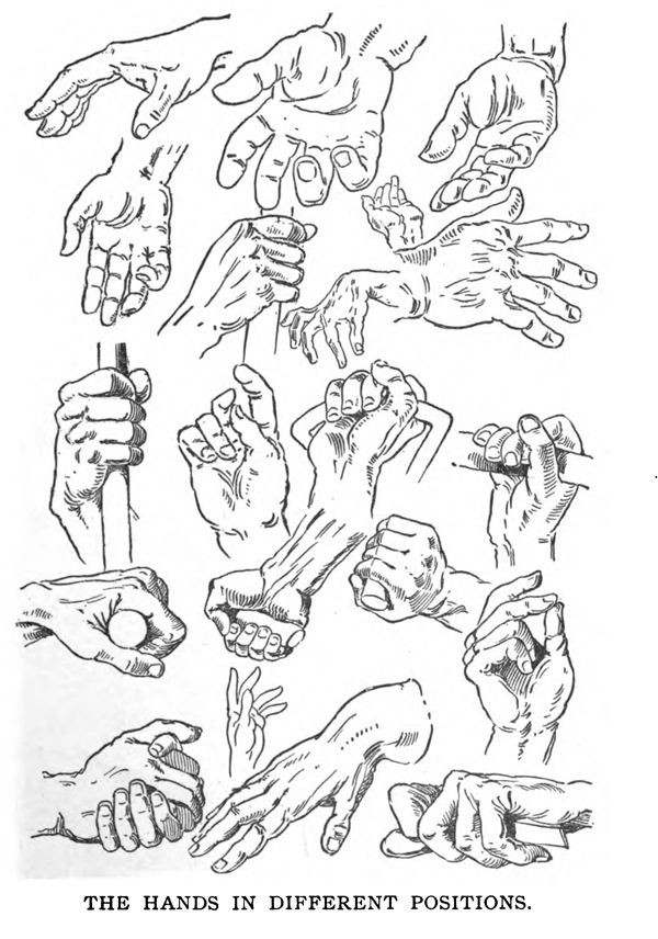 600x856 How To Draw Hands In Different Positions And Poses Learn To Draw - Hand Positions Drawing