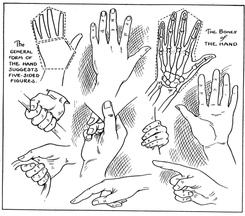 500x440 Learn How To Draw Hands With Drawing Lesson Hands Positions - Hand Positions Drawing