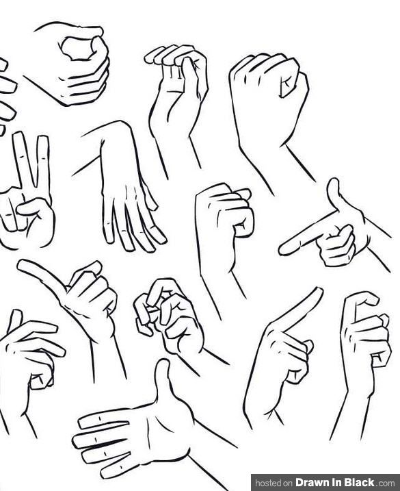 585x717 Picture Of The Various Positions Of Hands - Hand Positions Drawing