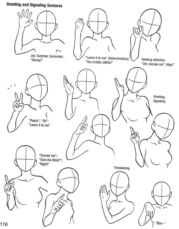 736x939 Arm And Hand Positions Drawing - Hand Positions Drawing