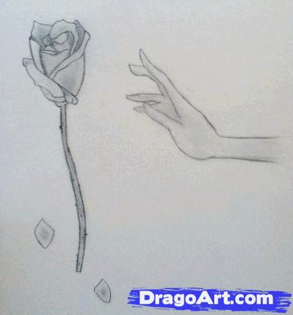 420x451 How To Draw A Hand Reaching For A Rose, Step - Hand Reaching Out Drawing