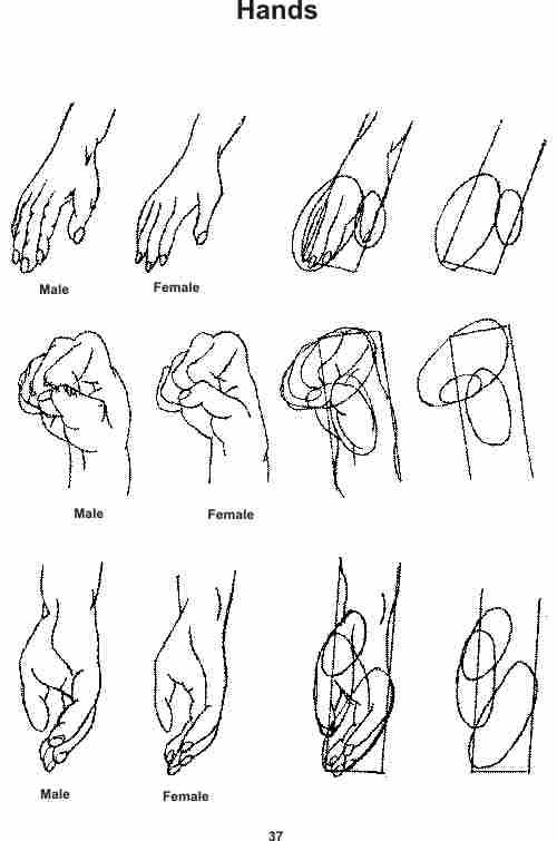500x755 How To Draw A Simple Hands In Art Class Ideas Drawings - Hand Simple Drawing