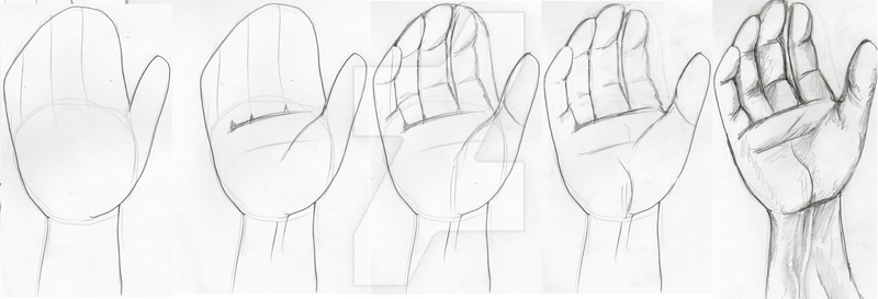 800x273 Simple Drawing Of A Hand - Hand Simple Drawing