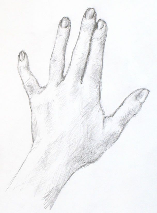 608x826 Drawing Tutorial A Simple Drawing Of Your Hand Portrait Artist - Hand Simple Drawing