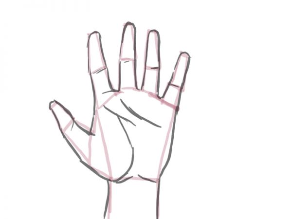 600x450 How To Draw A Proportioned Hand Structure - Hand Simple Drawing