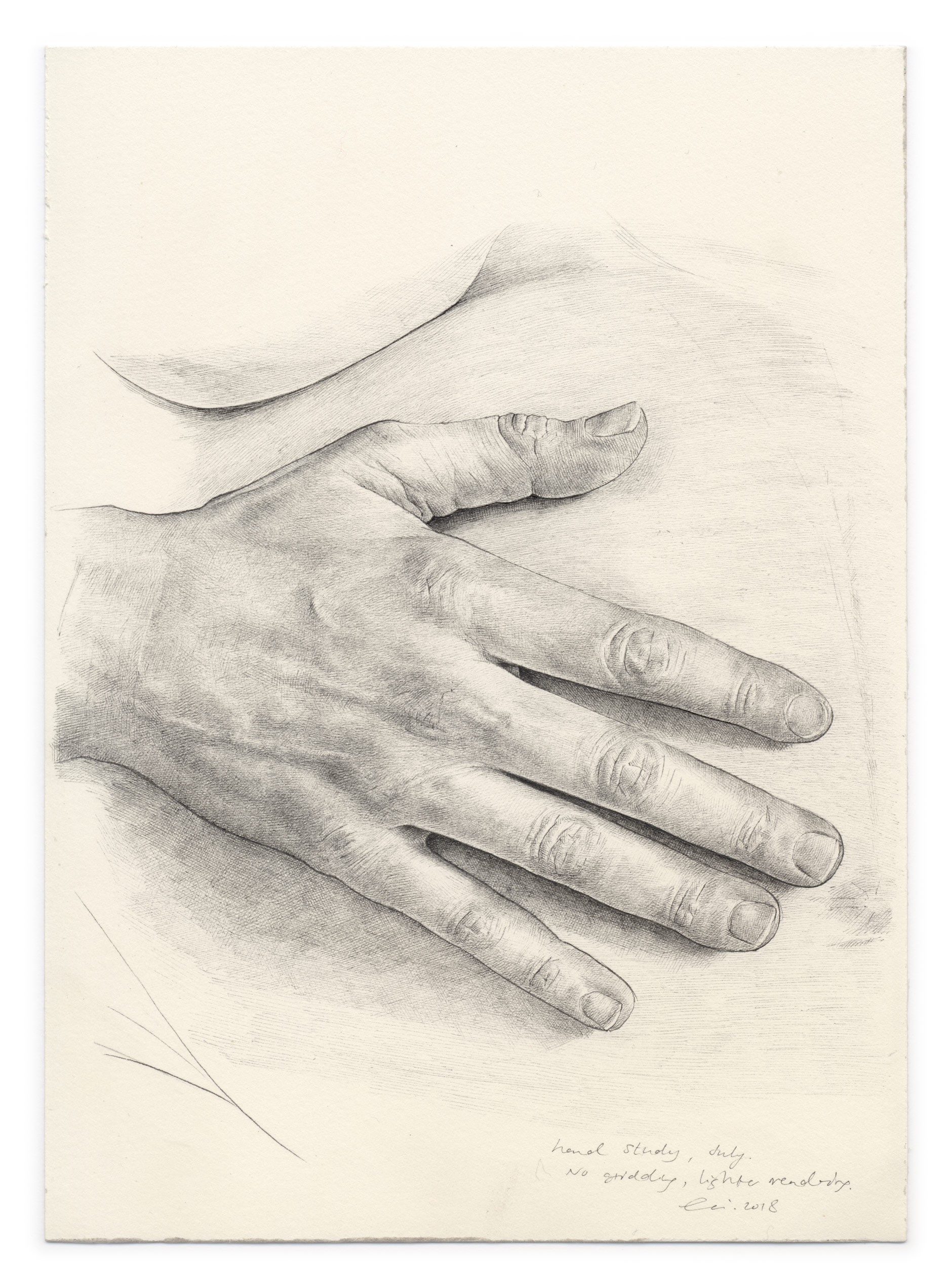 1880x2542 hand, study drawing lily mae martin - Hand Study Drawing
