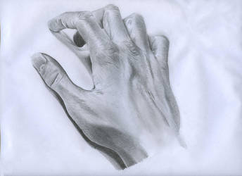 344x250 hand study drawing - Hand Study Drawing